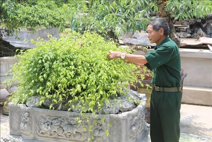 Chiến Binh Lòng Đèn Xanh 2