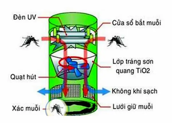 Cơ Chế Hoạt Động Của Đèn Bắt Muỗi