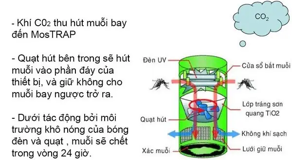 Cơ Chế Hoạt Động Của Đèn Bắt Muỗi Cơ Chế Hoạt Động Của Đèn Bắt Muỗi