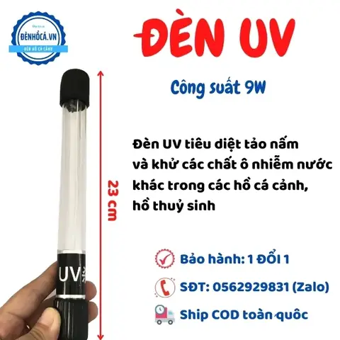 Có Nên Dùng Đèn Uv Cho Bể Cá