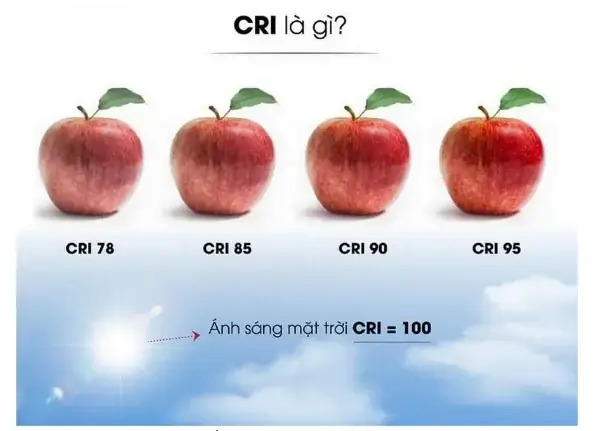 Cri Của Đèn Là Gì