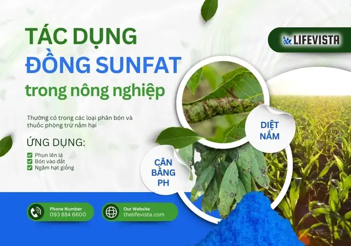 Đất Đèn Có Tác Dụng Gì Với Cây Trồng