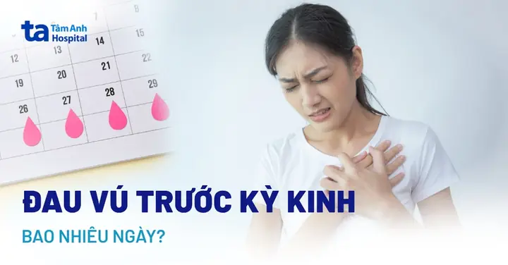 Đau Ngực Ngày Đèn Đỏ