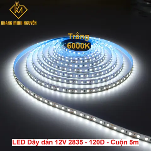 Dây Đèn Led 12v Trắng