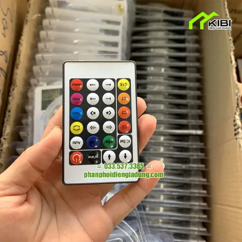 Dây Đèn Led Có Điều Khiển
