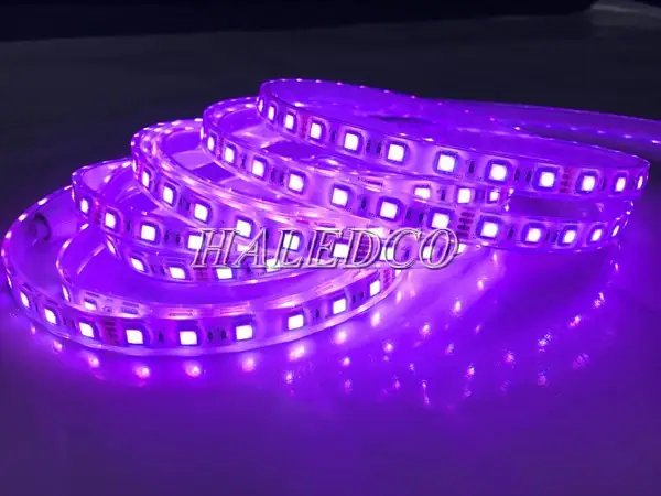 Dây Đèn Led Màu Tím