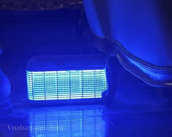 Đèn Bắt Muỗi Của Đức Đèn Bắt Muỗi Của Đức