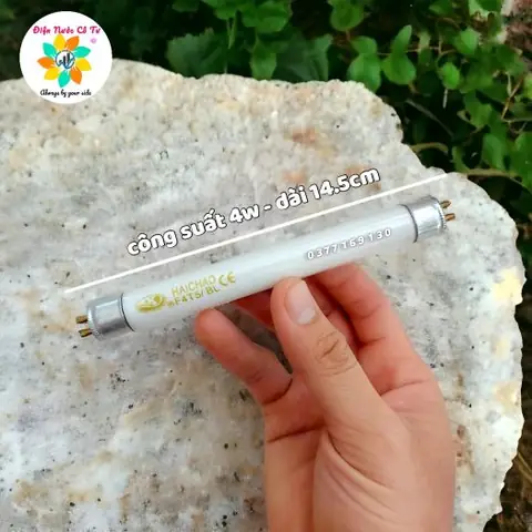 Đèn Bắt Muỗi Huỳnh Quang