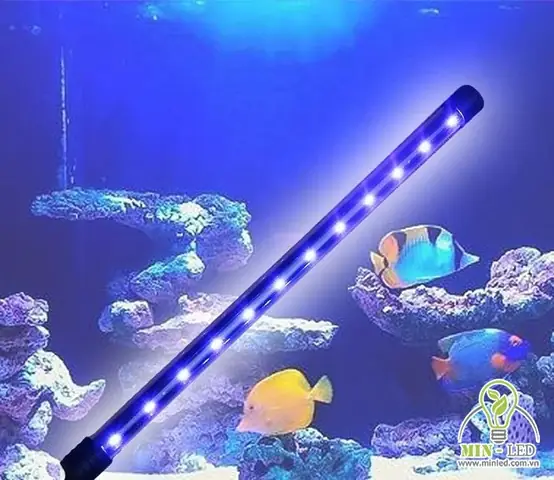 Đèn Bể Cá Ngoài Trời