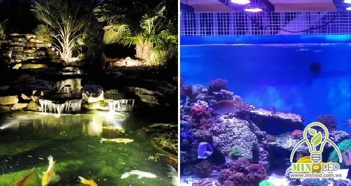 Đèn Bể Cá Ngoài Trời
