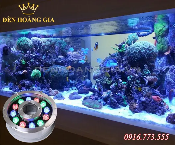 Đèn Bể Cá Nước Mặn