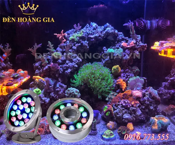 Đèn Bể Cá Nước Mặn