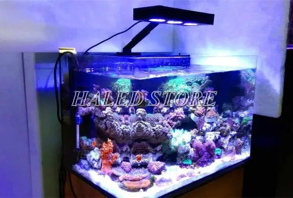 Đèn Bể Cá Nước Mặn