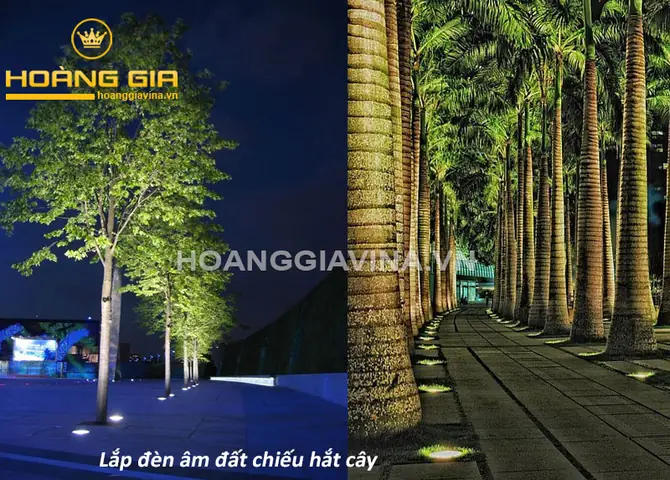 Đèn Chiếu Từ Dưới Lên