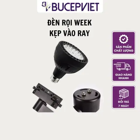 Đèn Cho Bể Bán Cạn