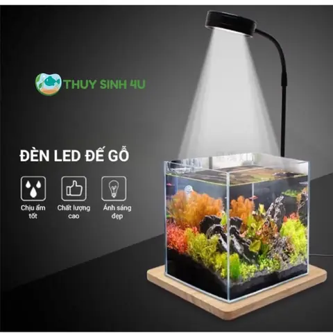 Đèn Cho Bể Bán Cạn