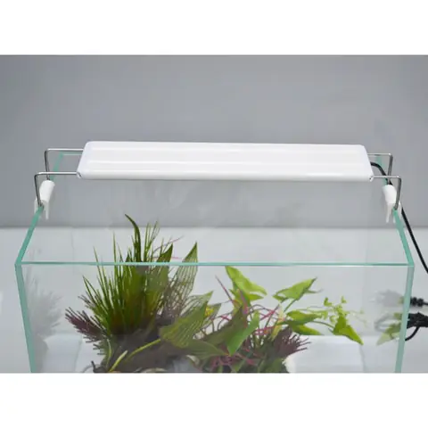 Đèn Cho Bể Cá Đĩa