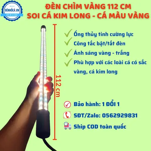 Đèn Cho Cá Rồng Quá Bối