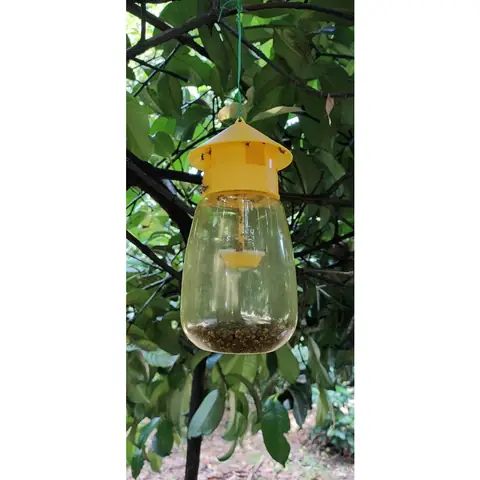 Đèn Dẫn Dụ Côn Trùng