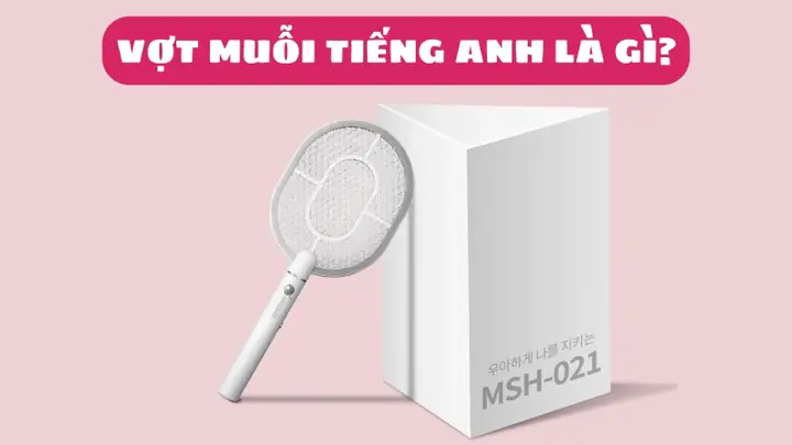 Đèn Diệt Côn Trùng Tiếng Anh Là Gì