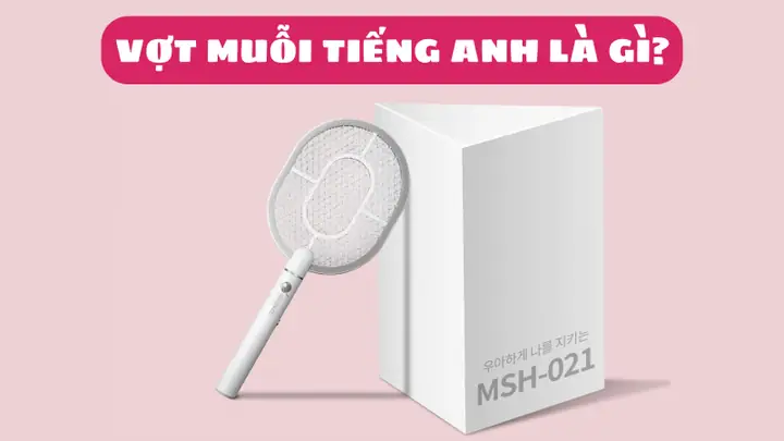 Đèn Diệt Côn Trùng Tiếng Anh Là Gì