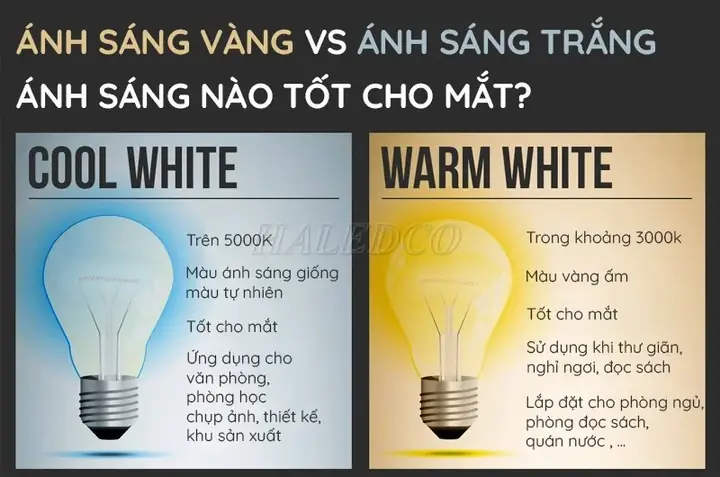 Đèn Đọc Sách Ánh Sáng Vàng