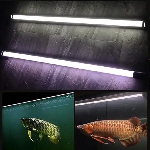 Đèn Doublewing Cho Cá Rồng
