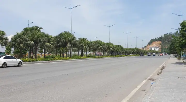 Đèn Đường Thuộc Quản Lý Của Ai