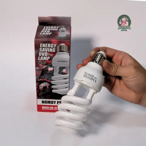 Đèn Giả Ánh Sáng Mặt Trời