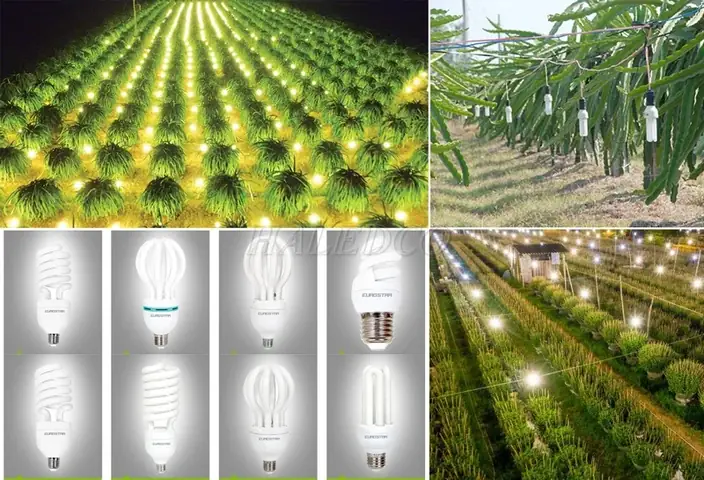 Đèn Giả Ánh Sáng Mặt Trời