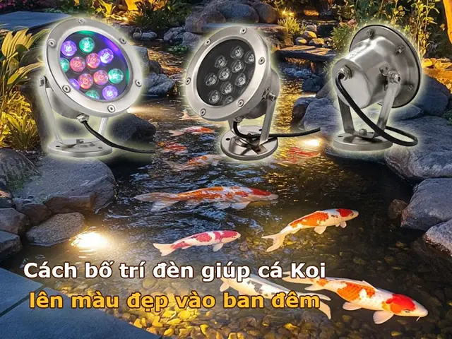 Đèn Giúp Cá Lên Màu