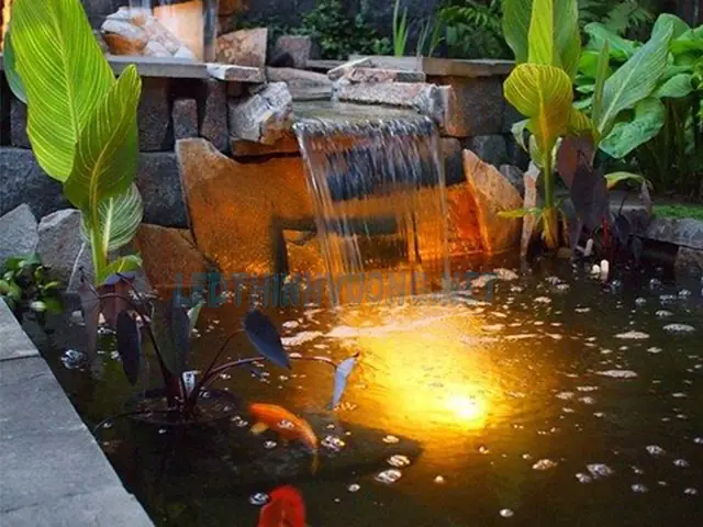 Đèn Hồ Cá Dưới Nước