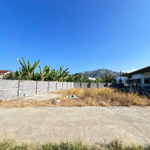 Đèn Hoa Đăng Bán Ở Đâu