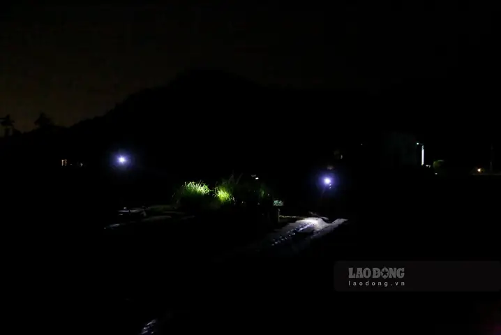 Đèn Làm Việc Ban Đêm
