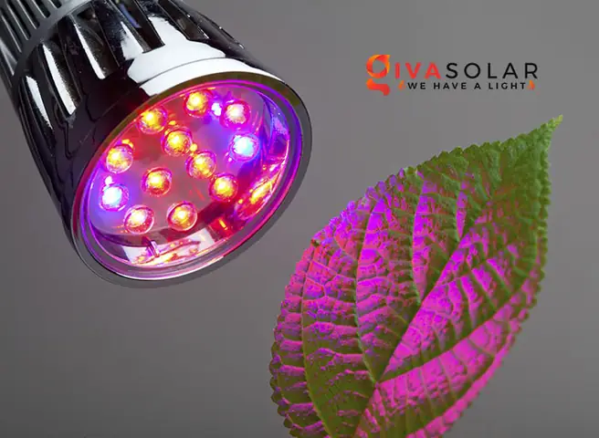 Đèn Led Ánh Sáng Đỏ