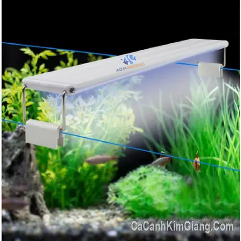 Đèn Led Bể Cá 50cm