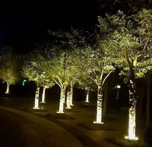 Đèn Led Chiếu Sáng Cây Xanh Đèn Led Chiếu Sáng Cây Xanh