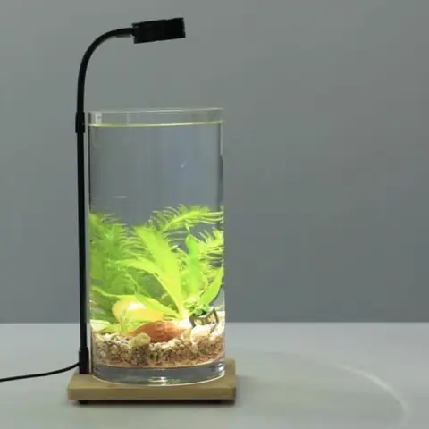 Đèn Led Cho Bể Cá Tròn Đèn Led Cho Bể Cá Tròn