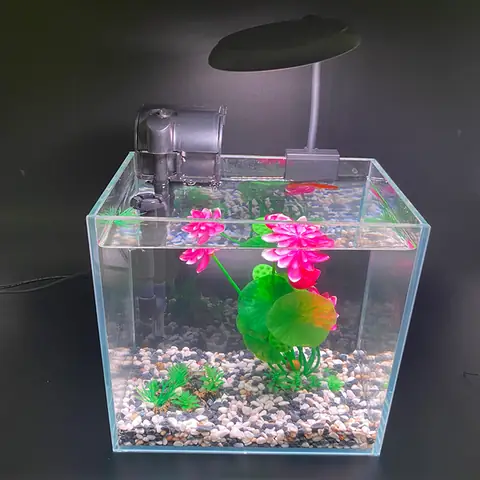 Đèn Led Cho Bể Cá Tròn Đèn Led Cho Bể Cá Tròn