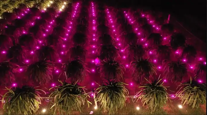 Đèn Led Cho Lồng Đèn Đèn Led Cho Lồng Đèn