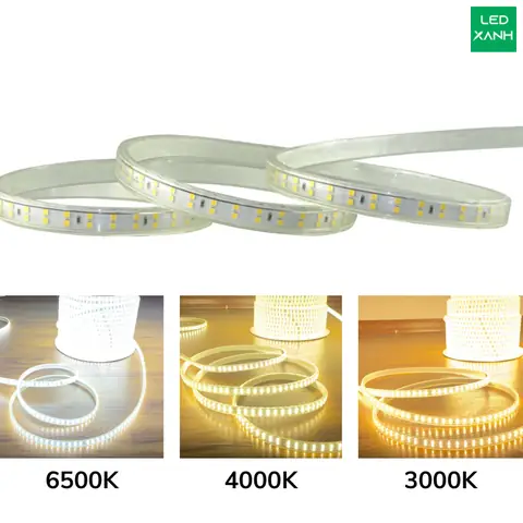 Đèn Led Dây 2 Hàng Bóng