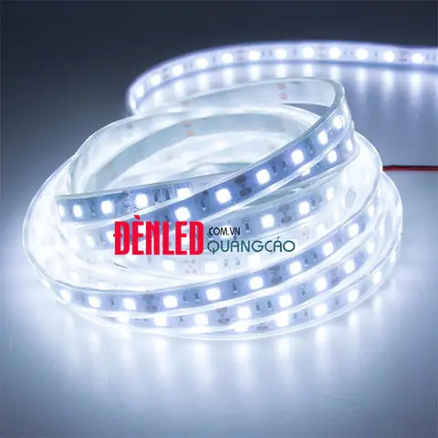 Đèn Led Dây Cao Cấp