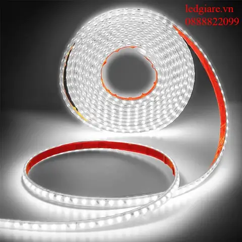 Đèn Led Dây Dán 220v