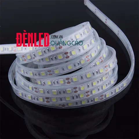 Đèn Led Dây Ngoài Trời 12v