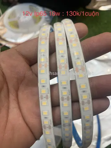 Đèn Led Dây Ngoài Trời 12v