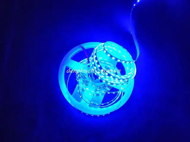 Đèn Led Dây Xanh Dương