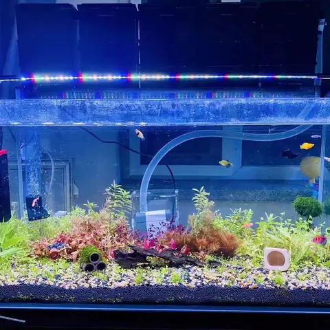 Đèn Led Đổi Màu Cho Bể Cá