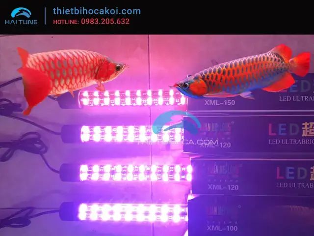 Đèn Led Hồ Cá 1m5