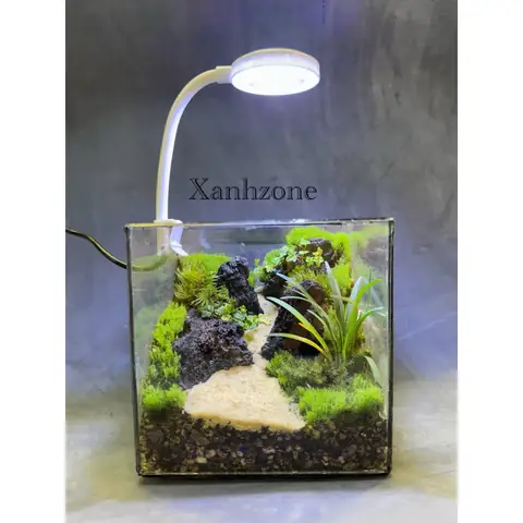 Đèn Led Kẹp Hồ Cá