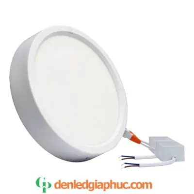 Đèn Led Ốp Trần D300